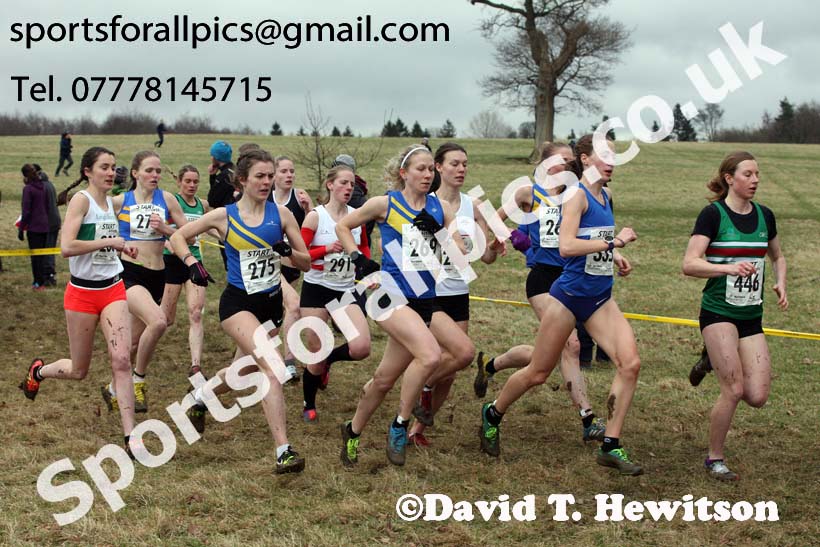 Senior women, 2018 Northern Cross Country Champs., Harewood House, Leeds. Photo: David T. Hewitson/Sports for All Pics